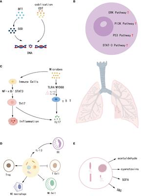 Microbes for lung cancer detection: feasibility and limitations